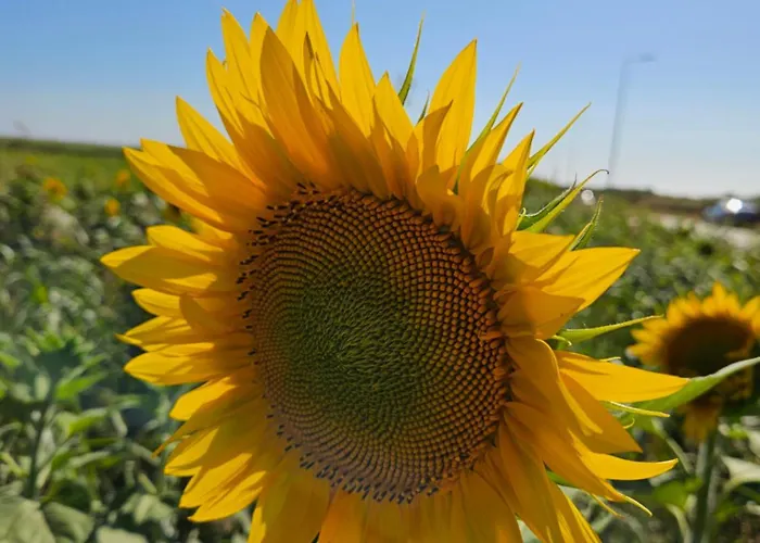 Ana Carmen Apartamento *