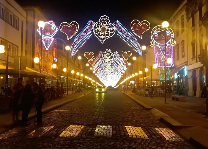 公寓 Ana Carmen 维亚纳堡