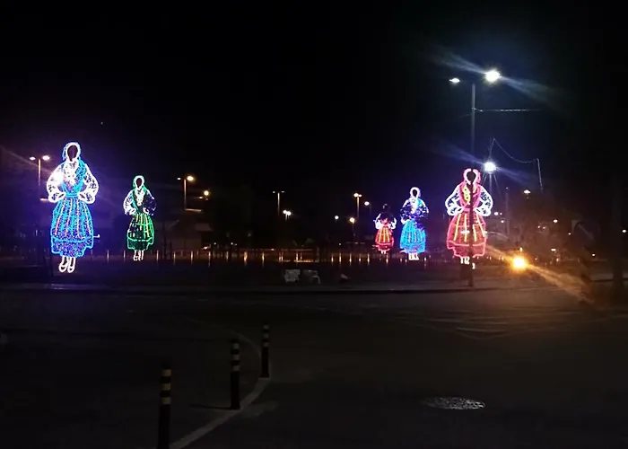 Ana Carmen 公寓 维亚纳堡